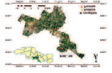 A detecção do patógeno no Submédio do Vale do São Francisco há menos que 10 anos pode explicar essa ausência da doença em alguns núcleos (CASTRO et al., 2009). Figura 1.