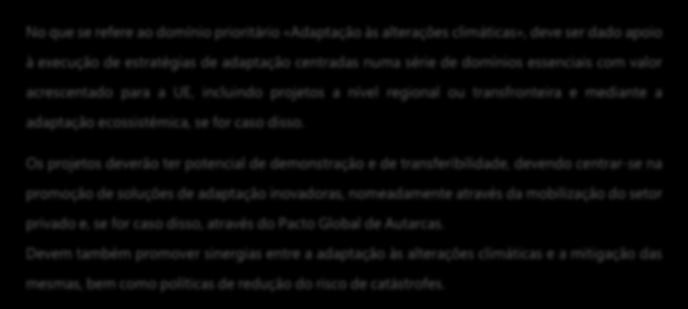 No que se refere ao domínio prioritário «Adaptação às alterações climáticas», deve ser dado apoio à execução de estratégias de adaptação centradas numa série de domínios essenciais com valor