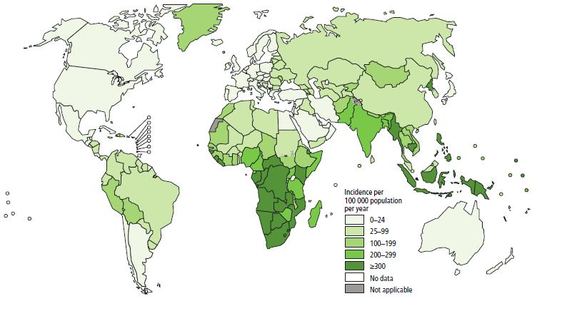 11 Figura 01 - Taxas de incidência estimadas de TB no Mundo em 2016. (Adaptado de Global Tuberculosis Report, 2017).