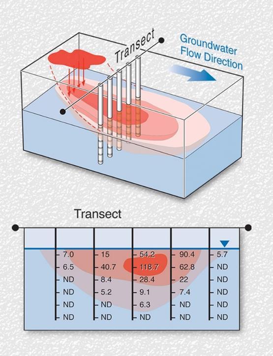 horizontal das amostras Linhas de sondagens transversais ao fluxo