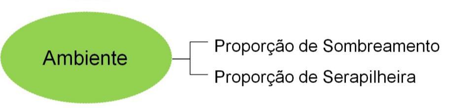 por formigas dependendo da perspectiva abordada.