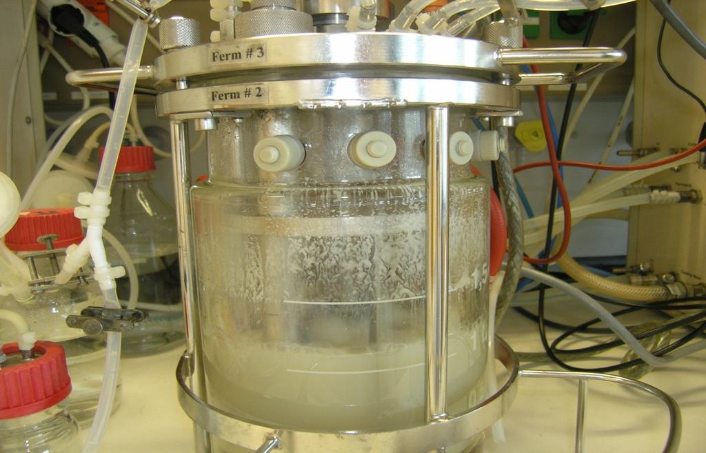 a) b) Figure 4.7 2 L bioreactor used for cultivation of the P. pastoris X33 strain.