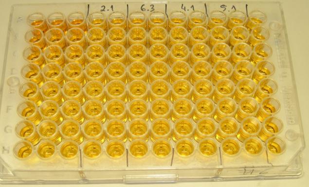 A Systems Biology framework for pathway level culture media engineering: application to Pichia pastoris cultures a) b) Setp 6) colored product Step 5) substrate enzyme Step 4) second antibody Step 3)