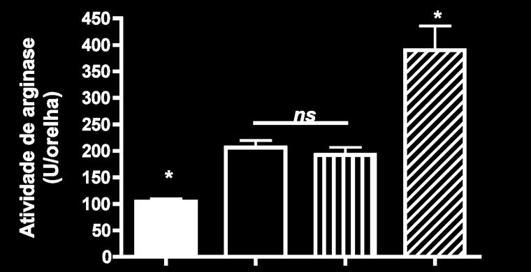 Como controle, camundongos foram tratados da mesma maneira com 500 µg de IgG de rato (B, C e E).