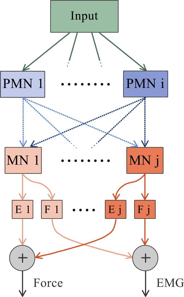 Capítulo 5: Geração e variabilidade de forças isométricas em jovens e idosos 5.2 Metodologia A Figura 5-2 ilustra a arquitetura do modelo desenvolvido.
