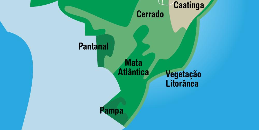 Caatinga, mas também se distribui pelo Ceará e Tocantins.