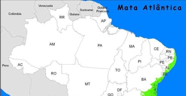 Mata Atlântica - Quando os portugueses chegaram em 1500, a Mata Atlântica se estendia por toda a costa brasileira, ocupando