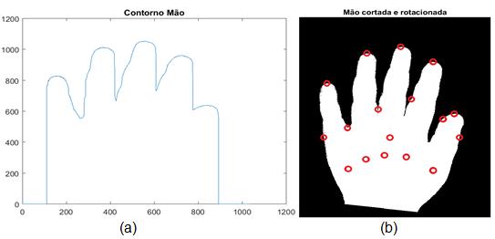 45 vales obtidos, buscam-se pelos máximos do dedo mínimo e polegar. Os resultados dessas buscas são mostrados na imagem da Figura 15 (b).