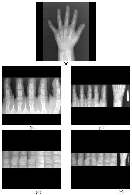 58 Figura 32 - (a) Imagem redimensionada da mão esquerda (b) Imagem mosaico redimensionada da composição dos dedos (c) Imagem Mosaico redimensionada da composição dos