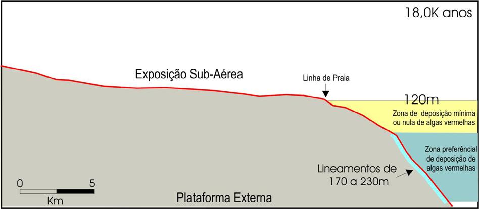 90 rebaixamento promoveu uma maior deposição de siliciclásticos na plataforma média e externa.