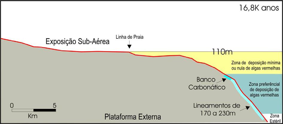 92 Figura 35. Seção esquemática da área de estudo entre 18.000 e 16.800 anos AP. Deslocamento e estabilização da linha da praia na cota de 110 m e sua escarpa.