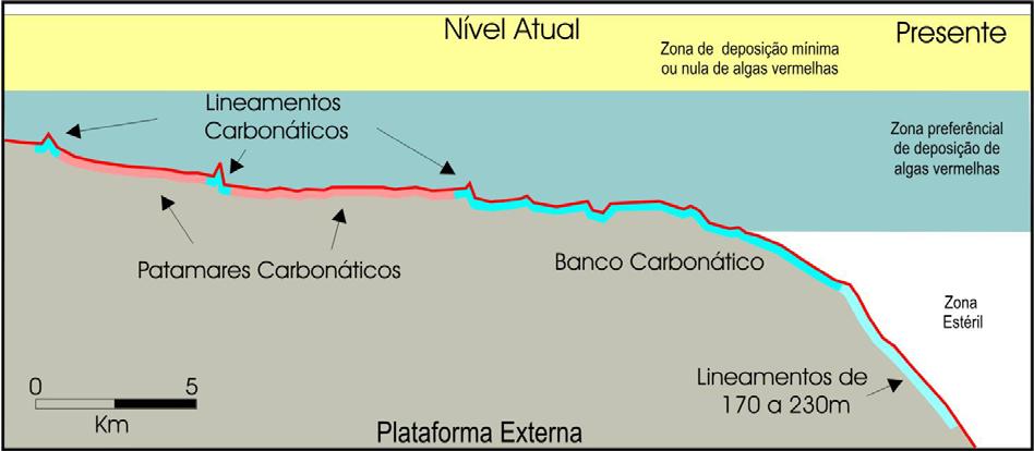 96 Figura 38. Seção esquemática da área de estudo entre 12.500 anos e o presente. Início das bioconstruções sobre os lineamentos carbonáticos de 110, 100, 85 e 70 m.