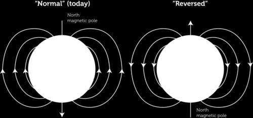 grupos: as que apresentavam polaridade magnética compatível com a do campo presente, e