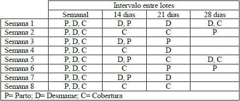 Quadro 5: Distribuição de trabalhos em uma granja conforme o intervalo entre lotes escolhido. 5. Como transformar as granjas em manejo em bandas.