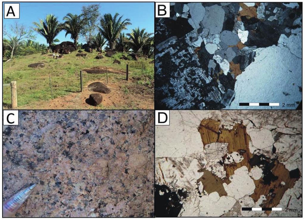 Figura 5 Feições de campo e petrográficas do maciço São Carlos. A: Ocorrência em blocos do maciço São Carlos.