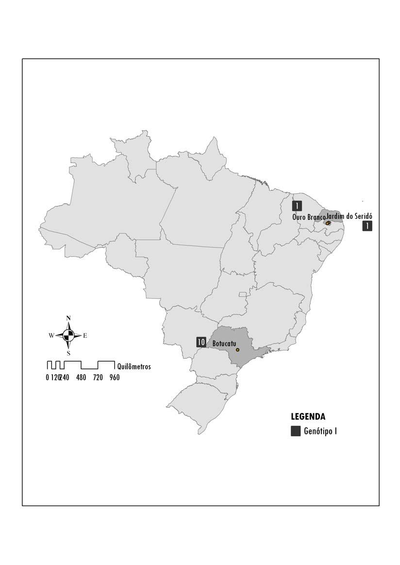 Mapa 4 Localização dos Municípios e Estados nos quais