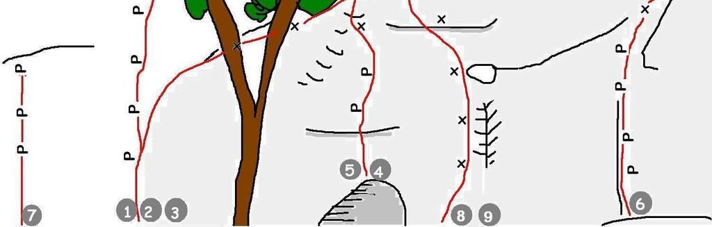 Andróide n 6 (8a) 7 costuras. Negativo ao lado do veio de quartzo, sair com a primeira clipada. 5. Andróide Mecânico (Projeto) 10 costuras. 6. Cabeça Dinossauro (9?