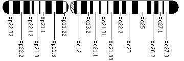 62 inativação do X, está extremamente ligada a distância entre o centro de inativação (CIX) e o gene (GRANT et al., 1993). CIX/XIST HPRT G6PD Figura 14.