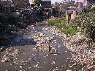 Projeto FEUP-MIEA Qualidade da água da Ribeira da Asprela- Parâmetros microbiológicos 4 POLUIÇÃO DA ÁGUA