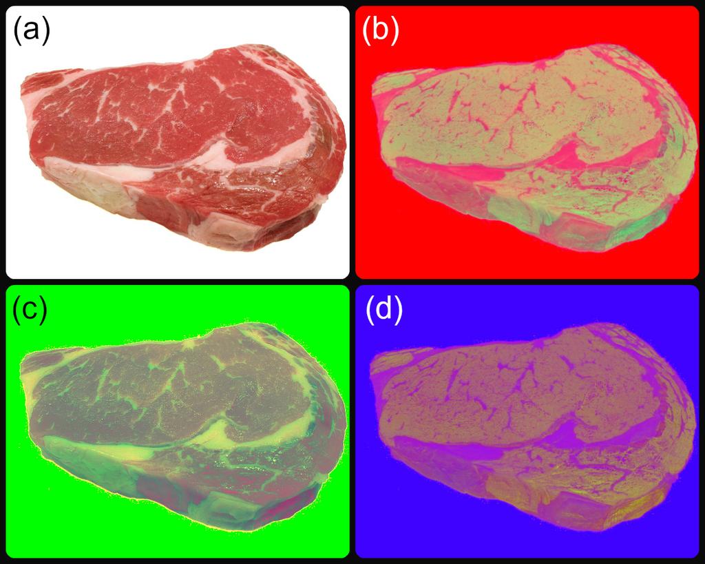 eles RGB (a), HSV (b), HSL (c) e HSI (d) respectivamente. Figura 1.