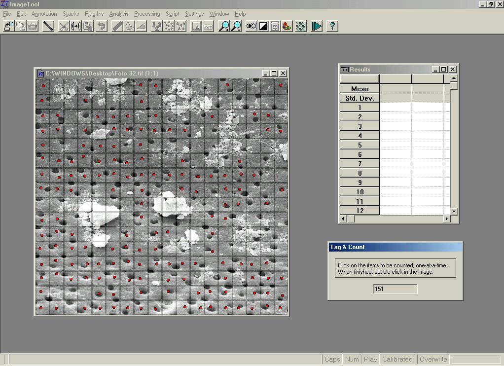 Material e Métodos 53 Figura 1 - Interface do programa ImageTool 3.0, utilizado para contagem dos quadrantes livres de smear layer e detritos.