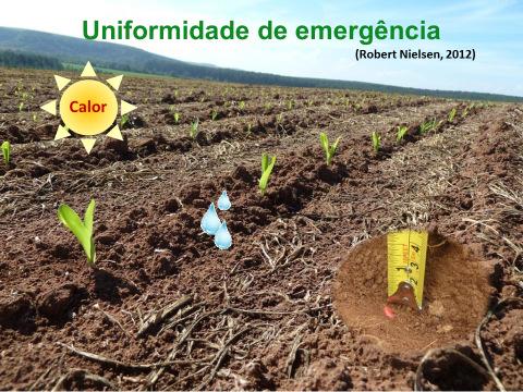 Condições do ambiente no entorno da semente, como a temperatura e a umidade do solo que possuem papel chave na velocidade de germinação e estabelecimento das plântulas.