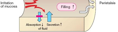 5- ANTI-SECRETOR inibidor da encefalinase