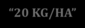 CENÁRIO D/E: 10 KG/HA - 20 KG/HA A.