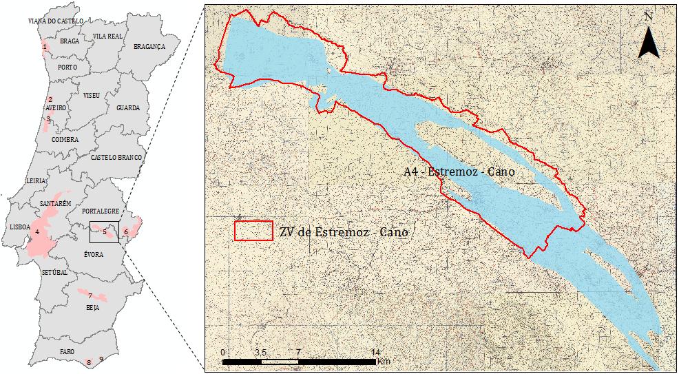 5. ZV ESTREMOZ - CANO