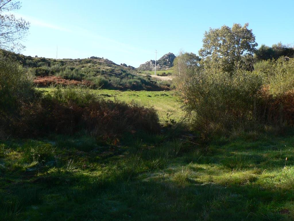 Proposta de um guia de campo Serra do