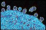 Há mrnas provenientes do processamento alternativo do RNA transcrito a partir do genoma viral que codificam várias proteínas não estruturais, no caso do HIV1: TAT, REV, NEF, VIF, VPR e VPU.