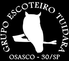 SOBRE AS POSIÇÕES... 4 APANHADOR... 4 ARTILHEIRO... 5 BATEDOR... 6 GOLEIRO... 6 3.