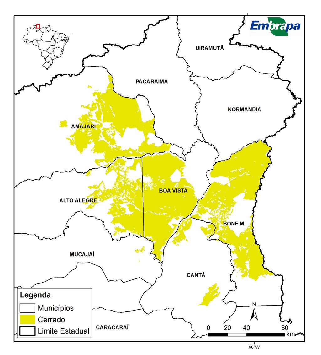 16 Avaliação da aptidão agrícola das áreas disponíveis do Estado de Roraima Figura 7. Mapa de identificação das áreas de cerrado disponíveis no Estado de Roraima.