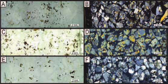 III CONGRESSO BRASILEIRO DE ROCHAGEM Figura 1 Lâminas delgadas com aumento de 7,5 x. A- FrE Luz polarizada não analisada. B FrE Luz polarizada analisada. C. FrM Luz polarizada não analisada. D. FrM Luz polarizada analisada.