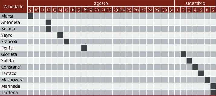 Pensar Global, pela Competitividade, Ambiente e Clima Calendário de maturação das variedades.