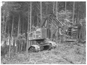 Análise técnica e de custo do feller buncher e skidder na colheita de madeira em... 983 principalmente nas florestas de Pinus, onde são escassas as informações disponíveis.