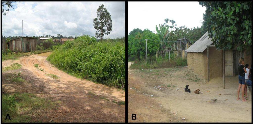 39 A vegetação desta mesorregião corresponde ao subtipo floresta densa da sub-região dos altos platôs do Pará-Maranhão, floresta densa de planície aluvial e densa dos terraços.