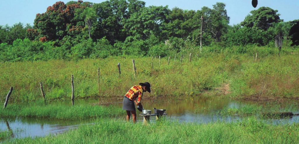 Programa Corredor Azul Corredor Azul é um programa para 10 anos, direcionado a salvaguardar a saúde e a conectividade do Sistema Paraná Paraguai de Áreas Úmidas, como patrimônio natural de