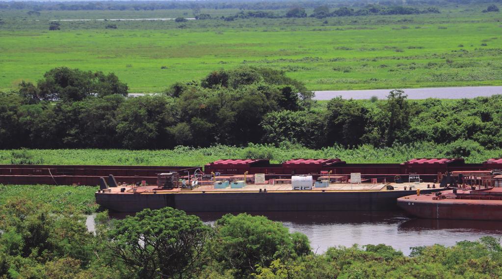 O Sistema Paraná Paraguai de Áreas Úmidas se encontra ameaçado por um modelo de desenvolvimento não sustentável ambientalmente que envolve grandes obras de infraestrutura,