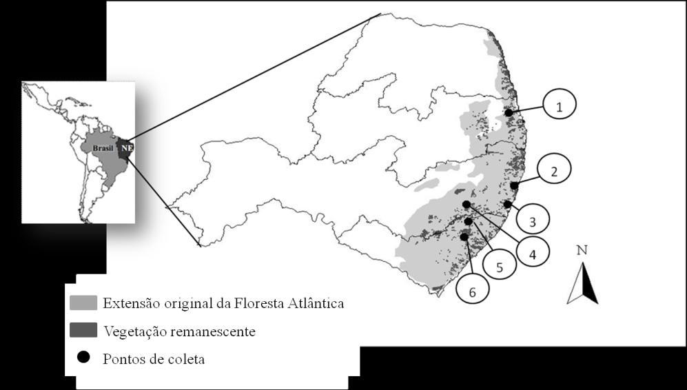 Área de estudo Área de estudo