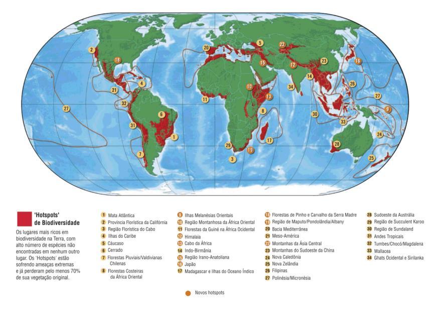 A Mata Atlântica O segundo ponto quente pra conservação hotspot mais