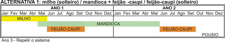 23 Os arranjos espaciais para plantio de mandioca são em fileiras duplas, no espaçamento de 0,60 m x 0,60 m x 2,00 m (agricultura familiar) e de 0,50 m x 0,50 m x 3,00 m (agricultura empresarial).