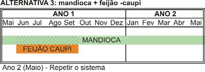 25 Fig. 3. Sistema Bragantino (alternativa 3): mandioca e feijão-caupi plantados em sistema de consórcio.