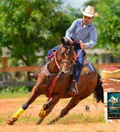 860 PONTOS pela ABQM, na Vaquejada é Pai de inúmeros campeões em vaquejada, QUENTÃO ZORRERO GOOC grande campeão em vaquejada e hoje grande produtor em