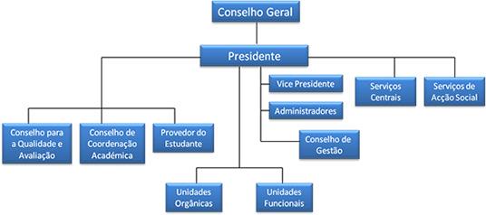 8 ANEXOS ÀS DEMONSTRAÇÕES FINANCEIRAS 8.1 - CARACTERIZAÇÃO DA ENTIDADE 8.1.1 - Identificação Instituto Politécnico de Castelo Branco Av. Pedro Álvares Cabral, n.