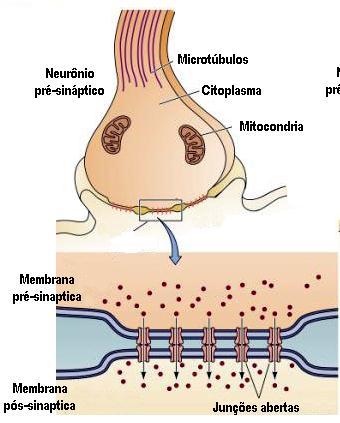 TIPOS DE