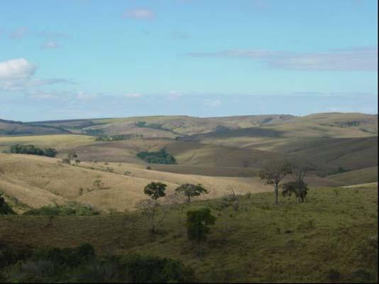 Estudos Geomorfológicos da Bacia do Rio Araguari 167 até 200m de desnível. Algumas drenagens seguem também a orientação linear dessas linhas de escarpas.