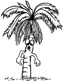 257 Além do coqueiro, quais outras palmeiras são suscetíveis ao anel-vermelho (causado pelo nematoide Bursaphelenchus cocophilus)? Espécies de palmeiras que foram relatadas como hospedeiras de B.