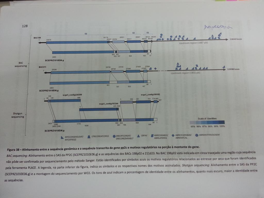 7. Comparativas Figura: Imagem