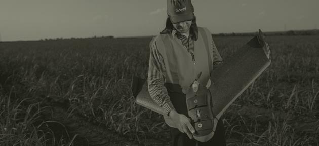 AGRÍCOLA MELHORES PRÁTICAS AGRÍCOLAS Aumento das áreas com fertirrigação Manejo de maturadores Centros de Operações